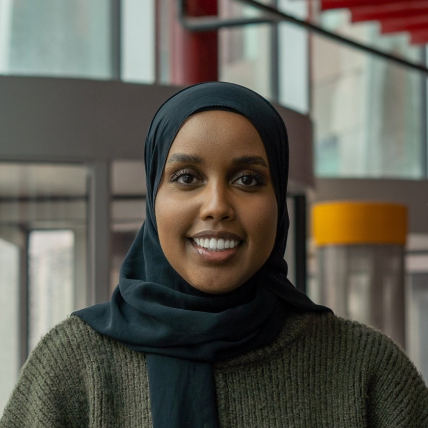 Amal Hussein
